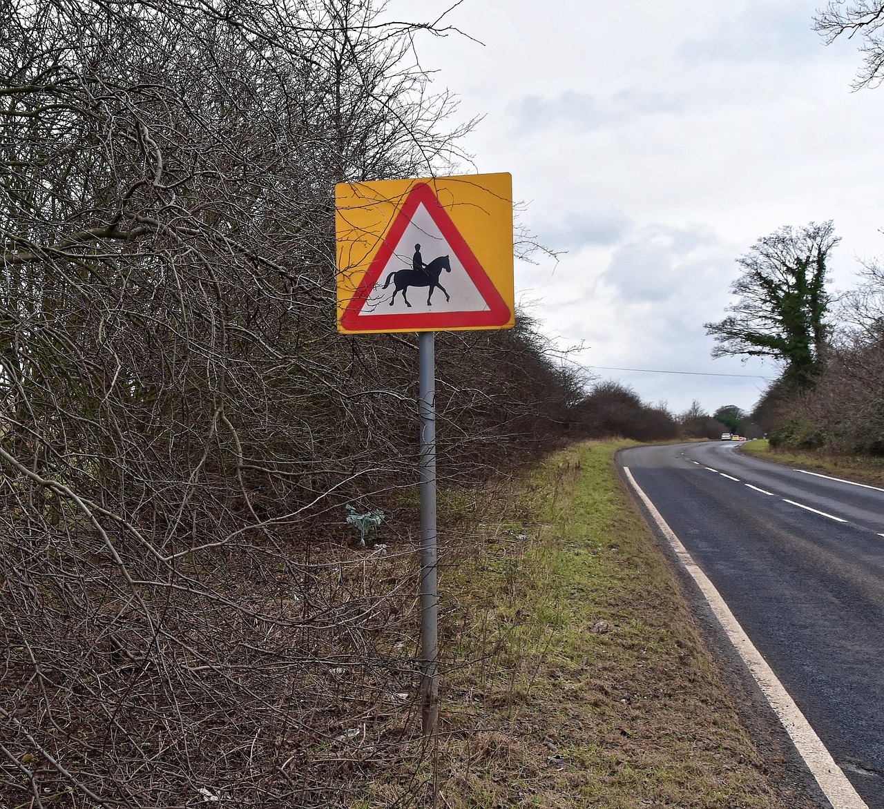 sign road sign horse free photo