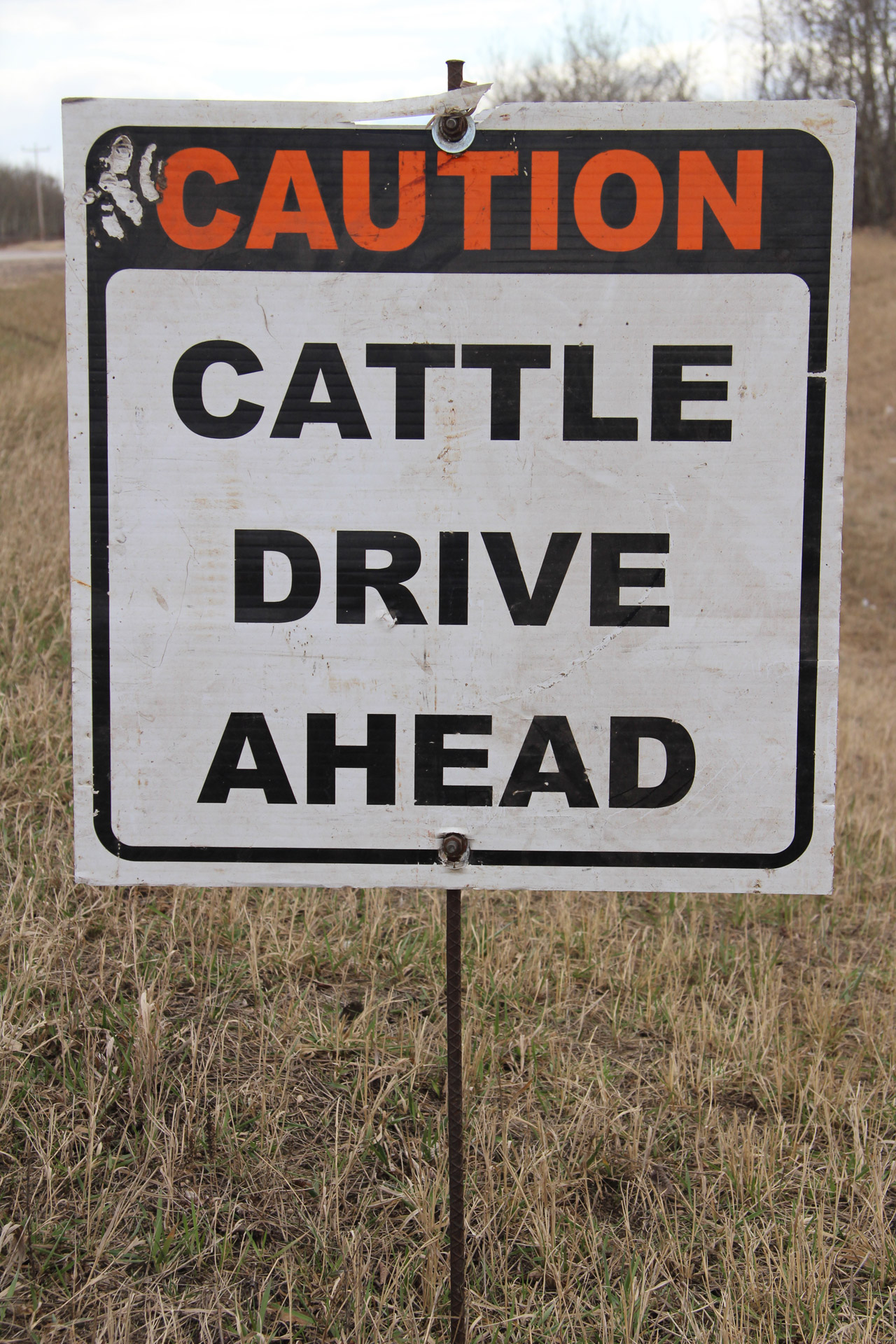 sign cattle drive free photo