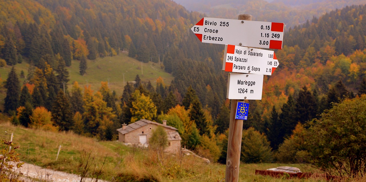 signal crossroads excursion free photo