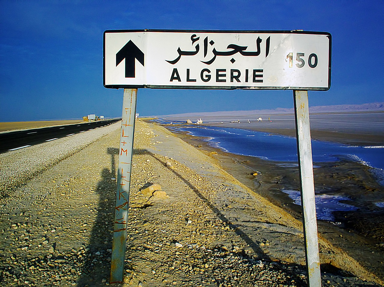 signpost algeria 150 km free photo