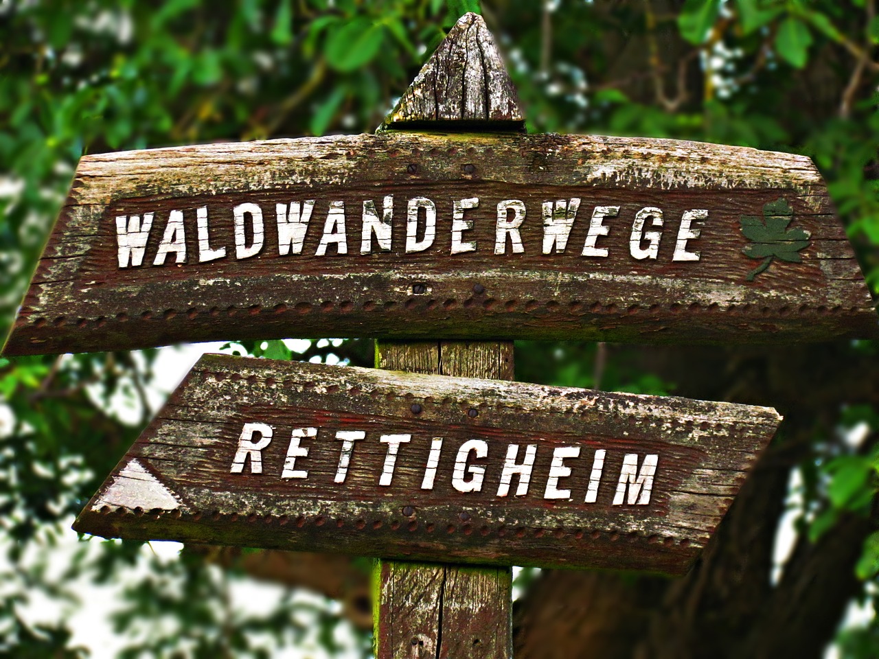 signpost name direction free photo