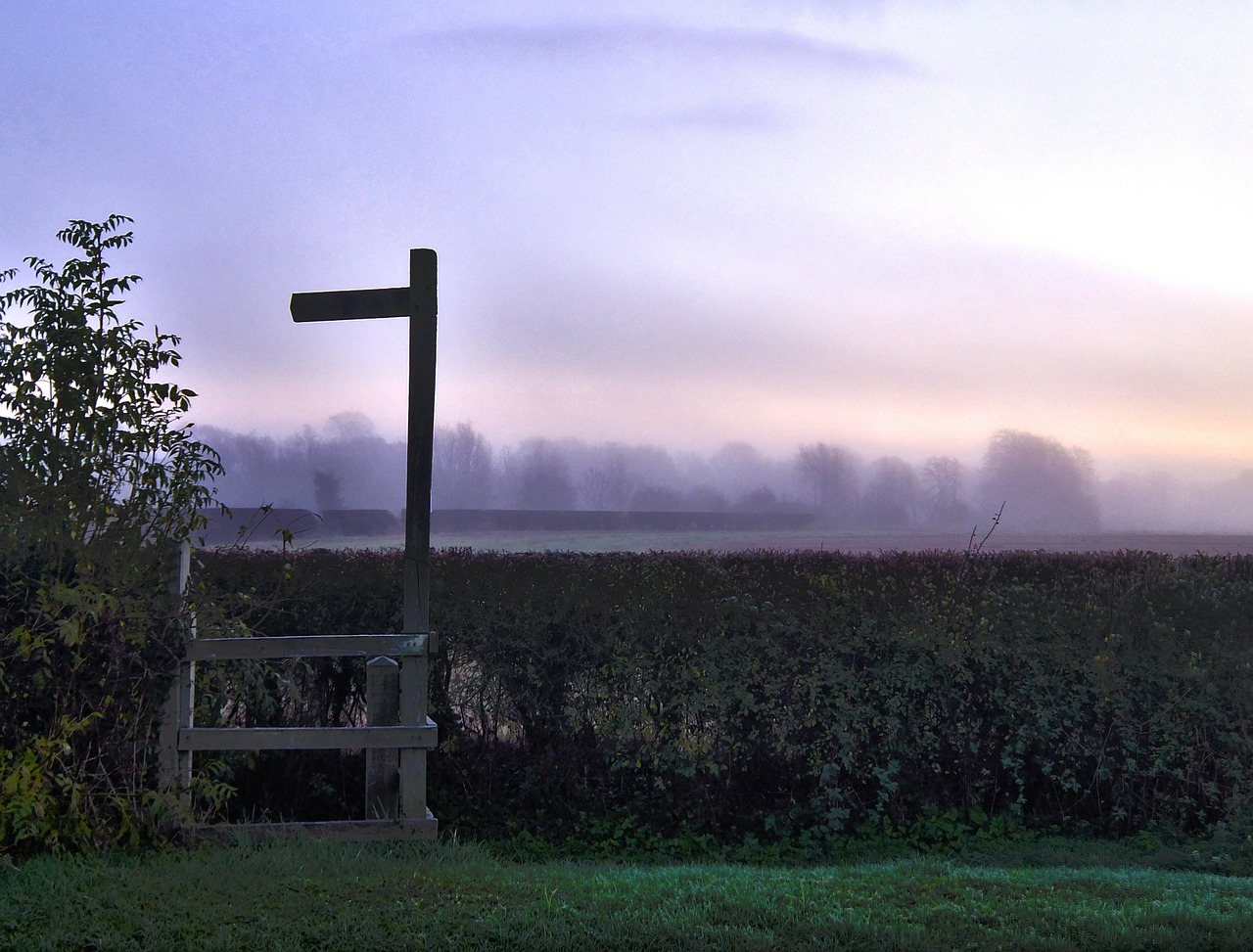 signpost dawn morning free photo