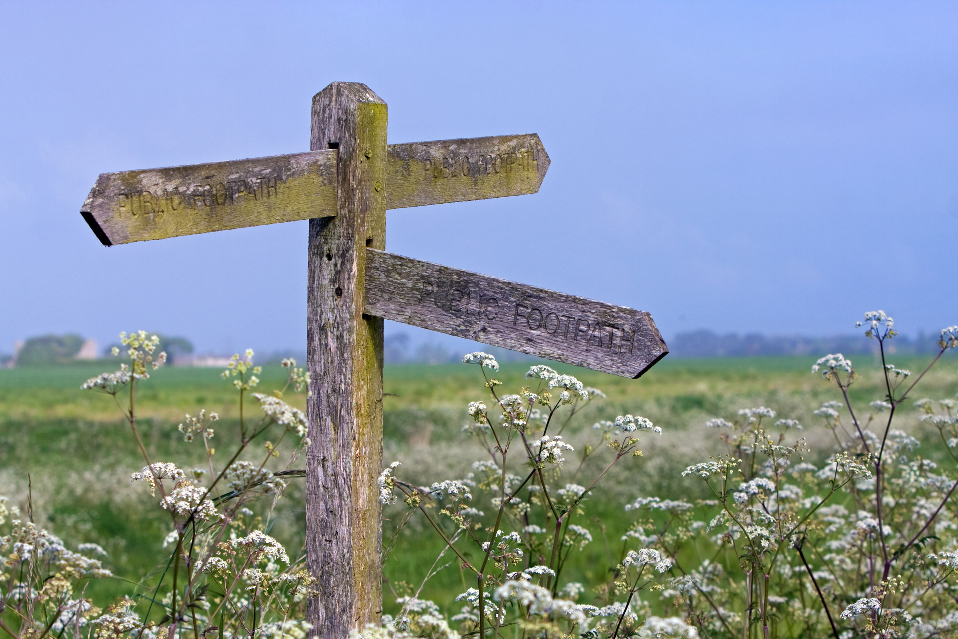 signpost wooden pointer free photo