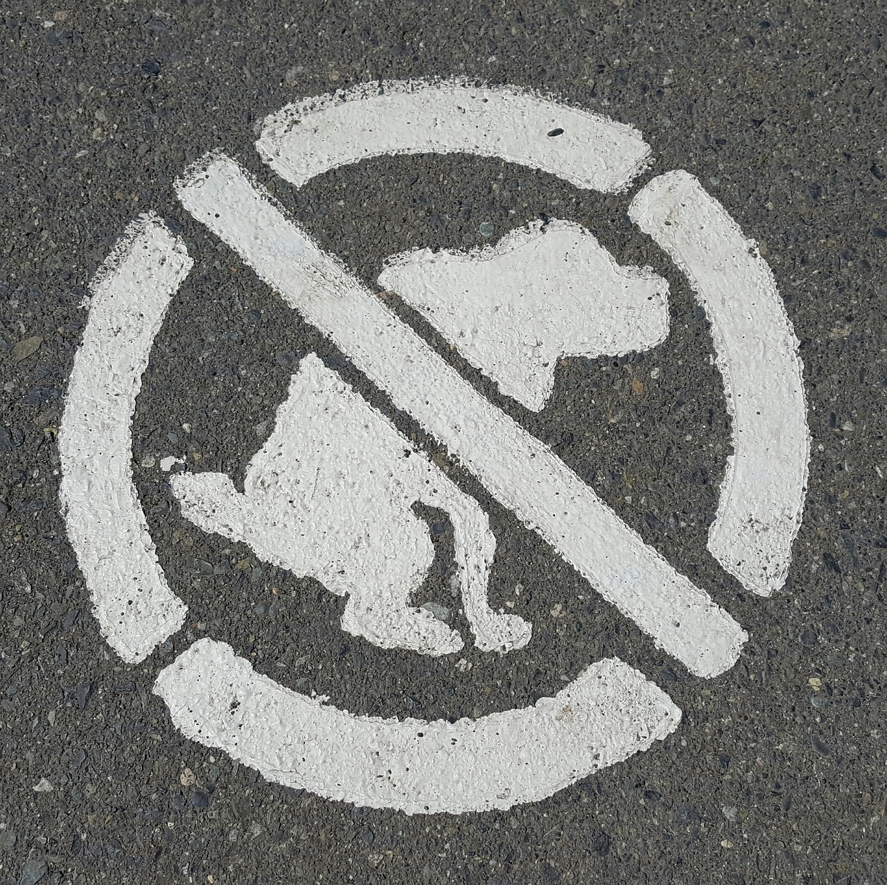 dogs signs symbol free photo