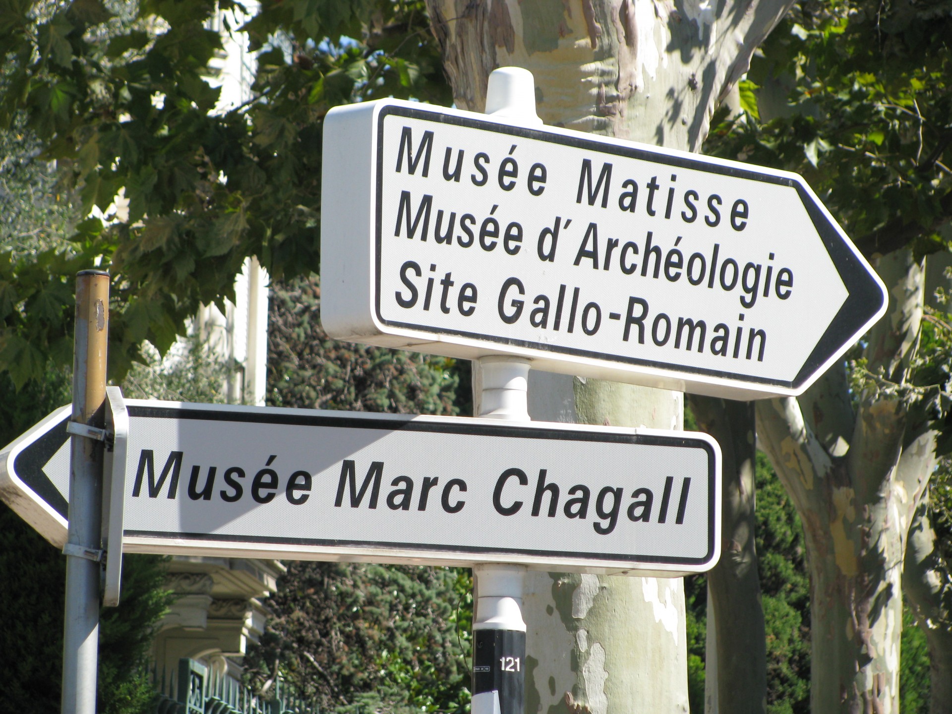 nice france matisse free photo