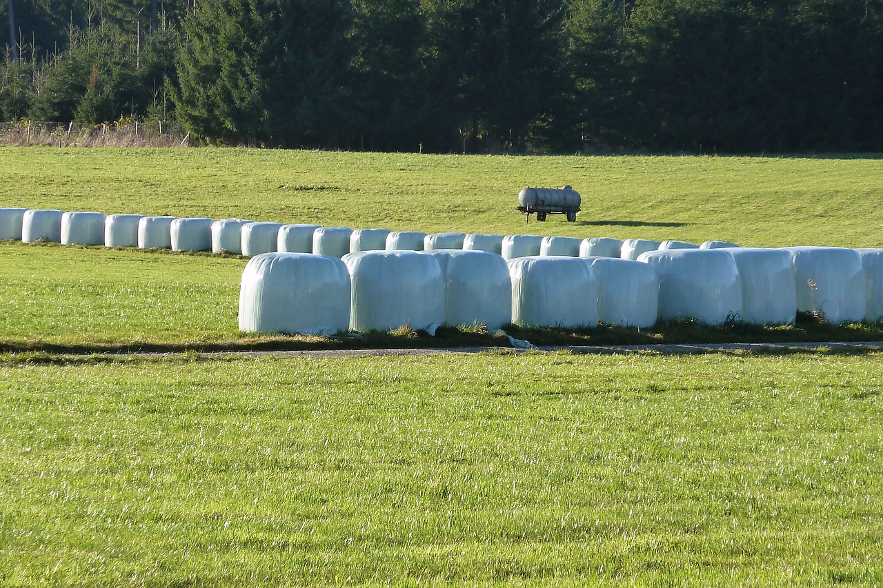 silage food agriculture free photo