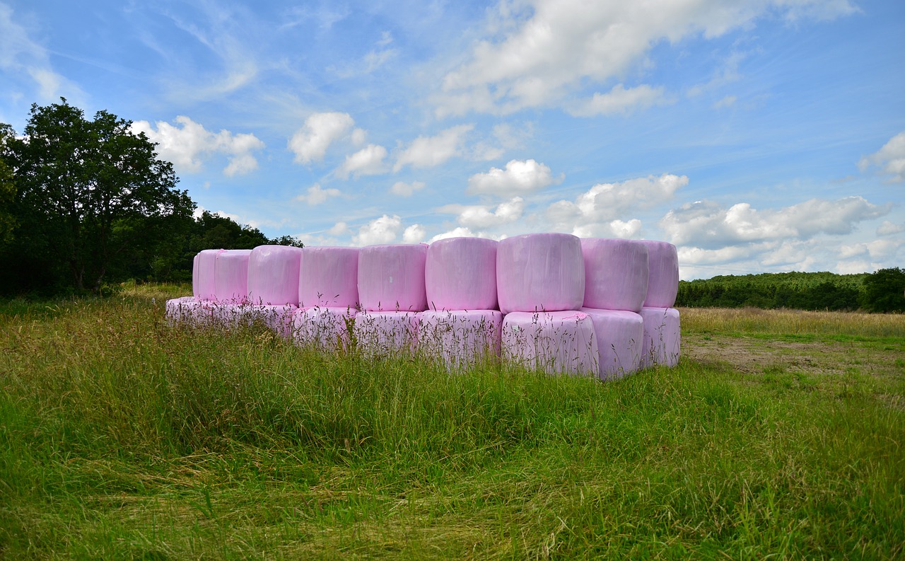 silage  grass  harvest free photo