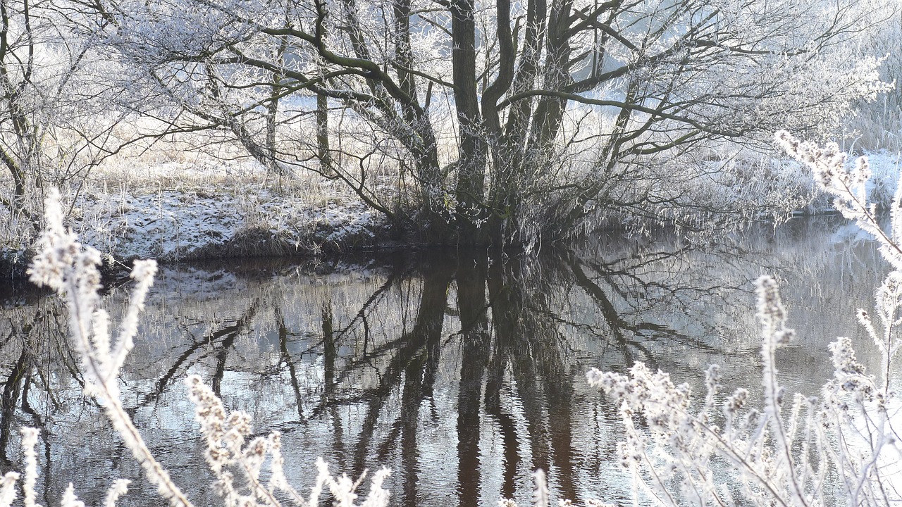 silent hoarfrost mirroring free photo