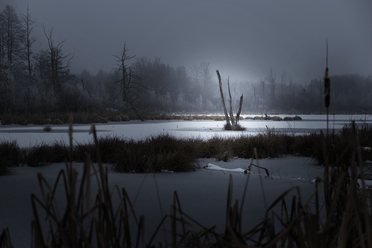 silent  winter  lake free photo