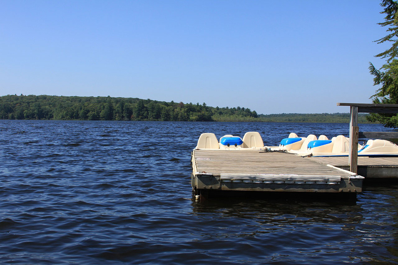 summer lake pier free photo