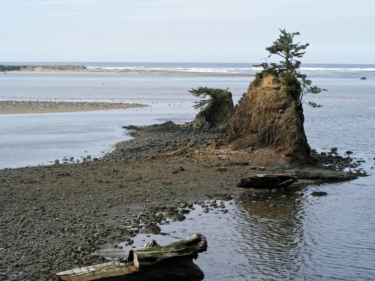 Pacific rock. Орегон бухта. Камень ликвидный остров залит. Мирный залив фото.