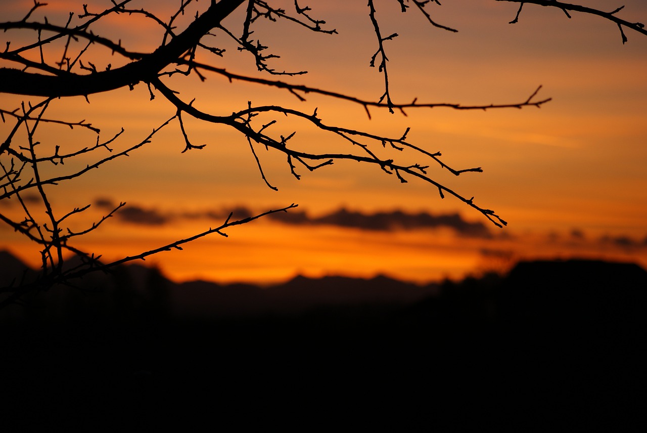 silhouette orange sunset free photo