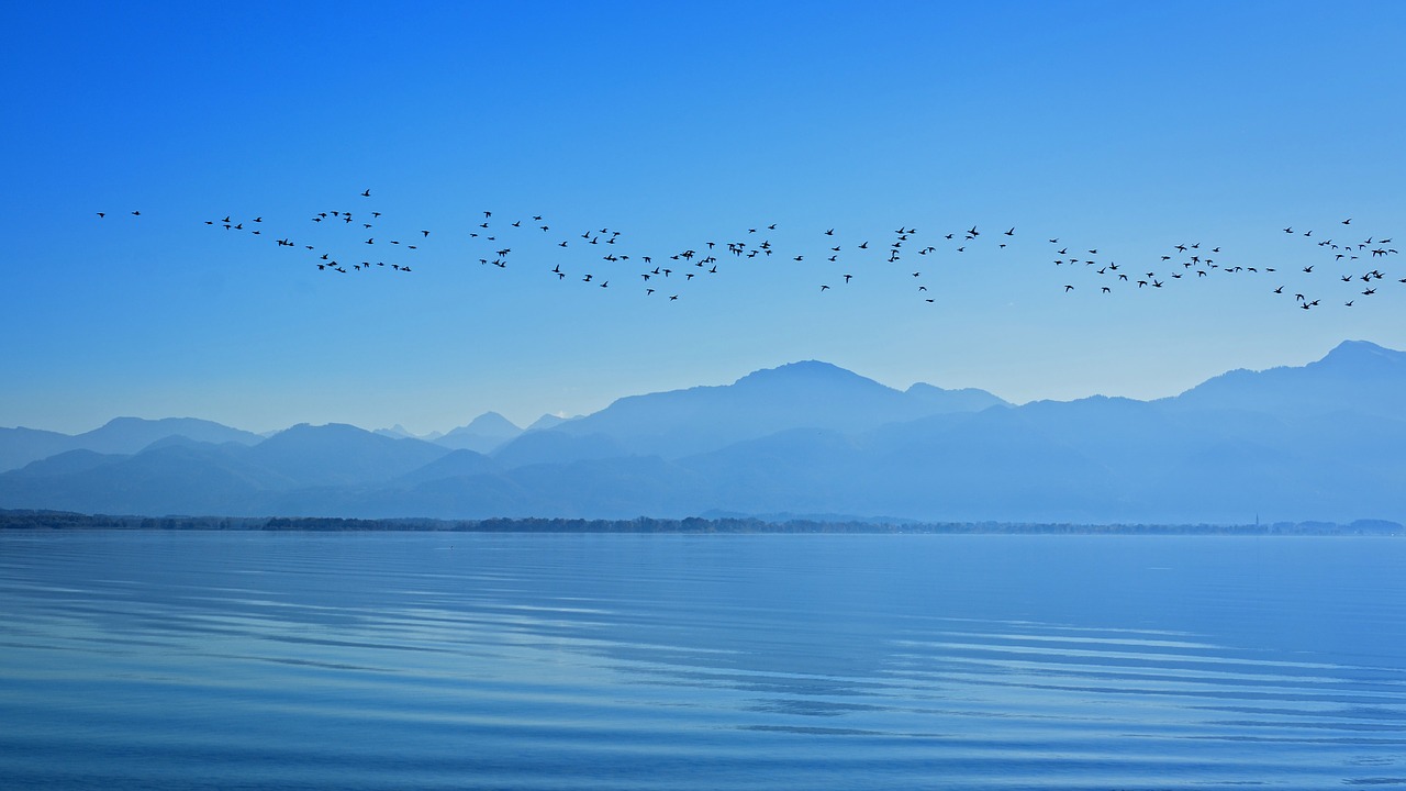 silhouette landscape chiemsee free photo