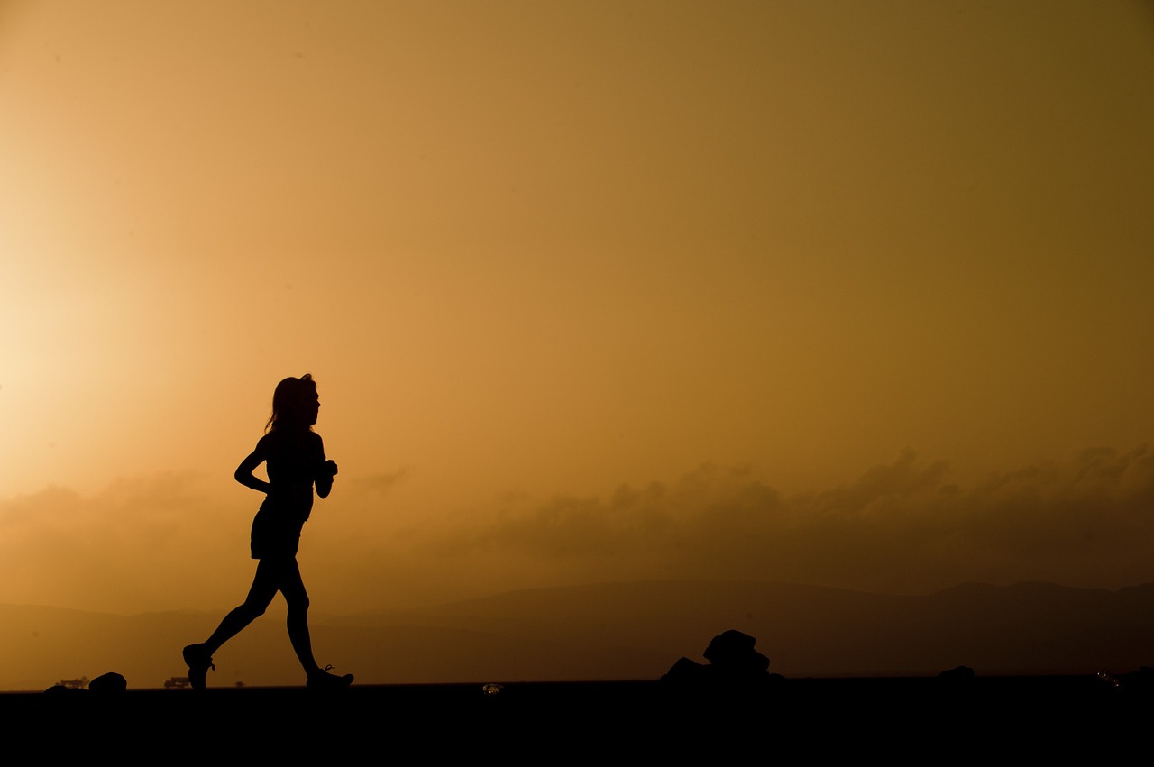 silhouette runner female free photo