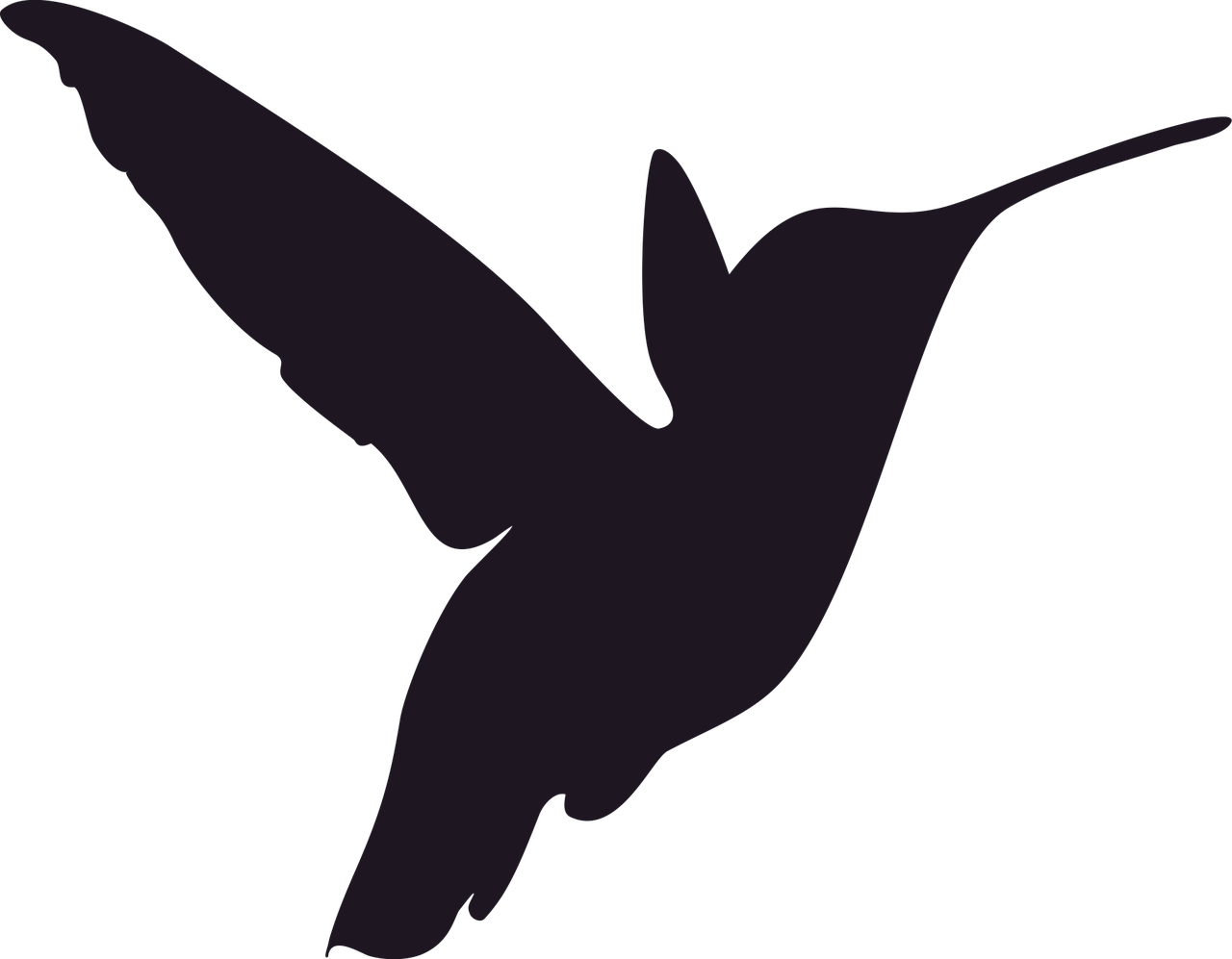 silhouette hummingbird bird free photo