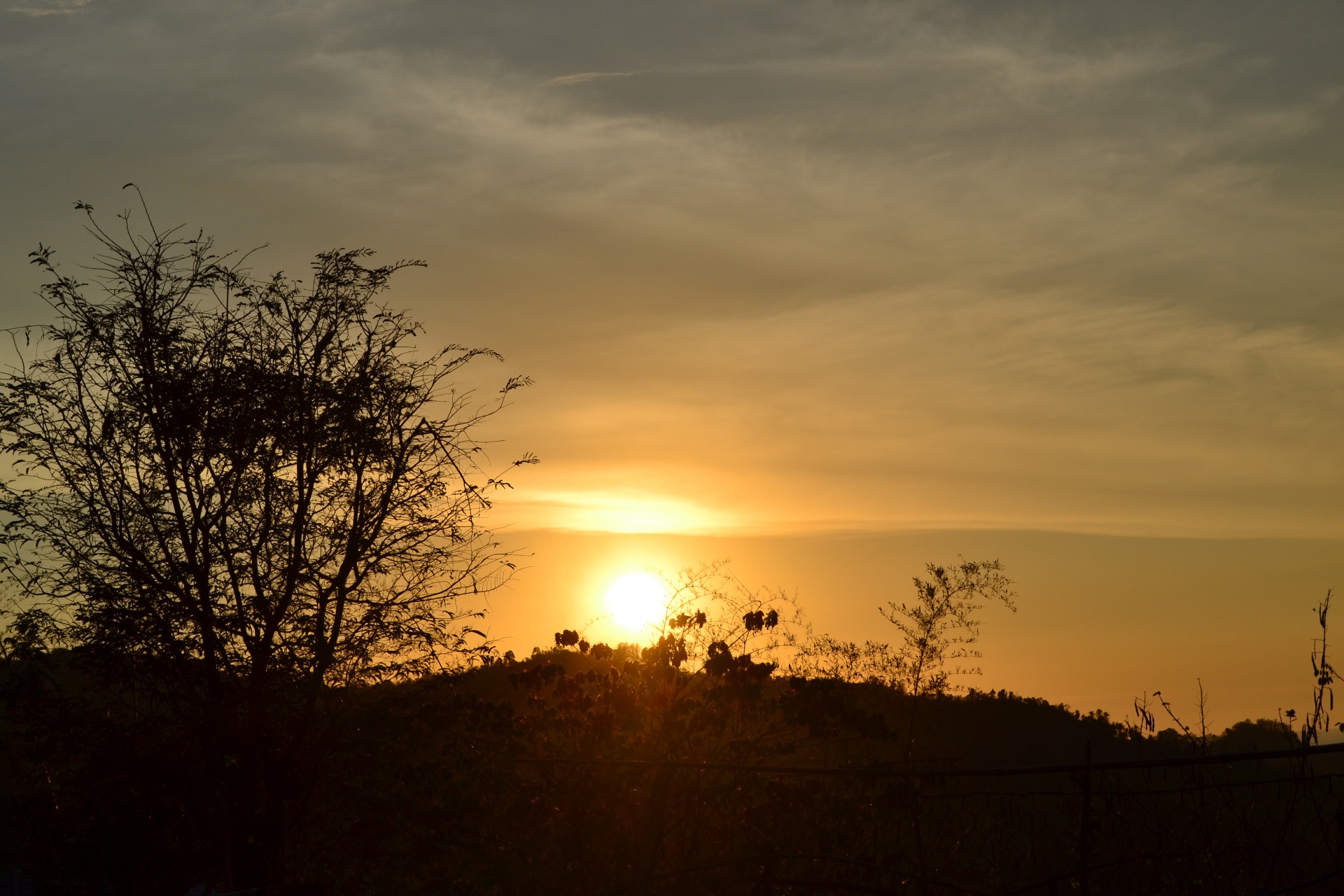 silhouette sunset dawn free photo