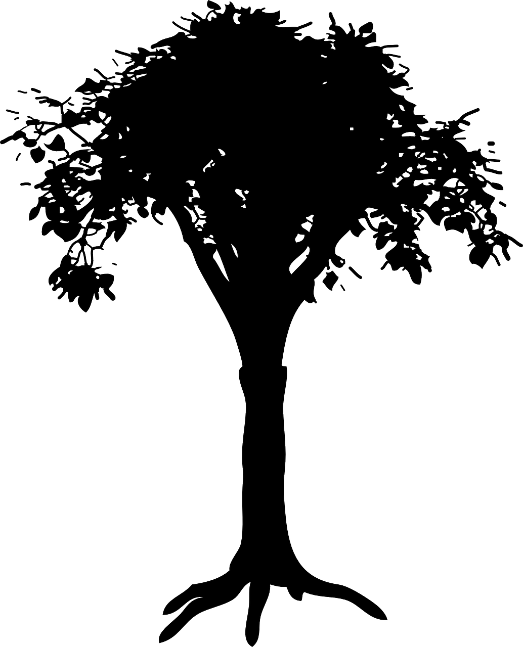 silhouette tree trunk free photo