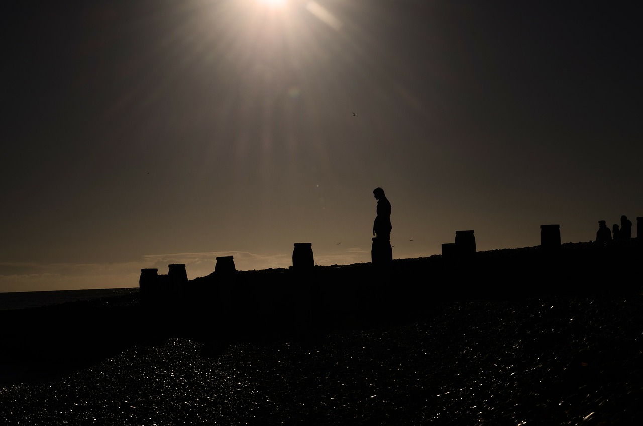 silhouette beach nature free photo