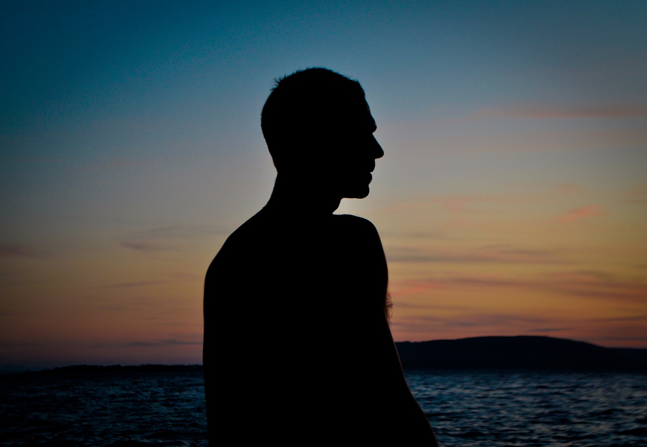 silhouette beach sunset free photo