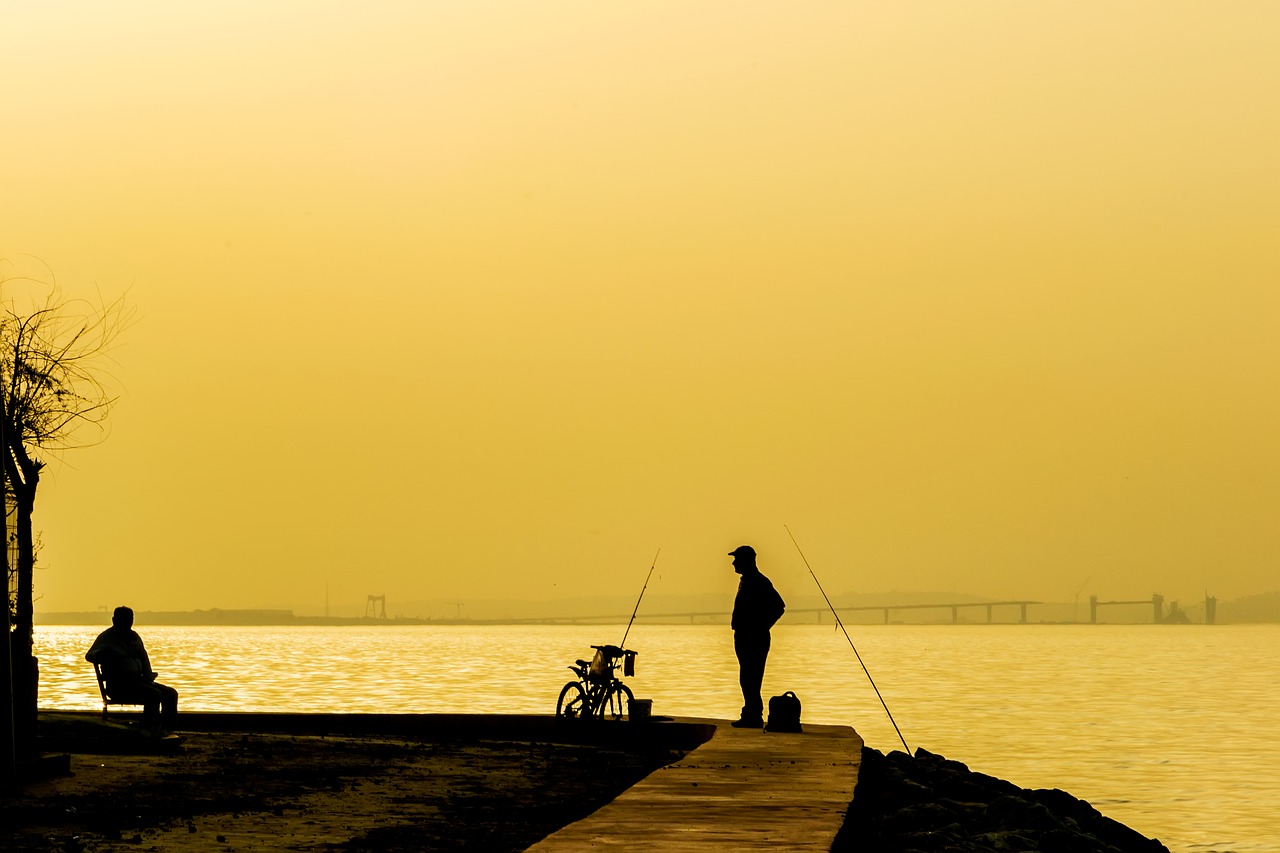 silhouette sunset sunset sea views free photo