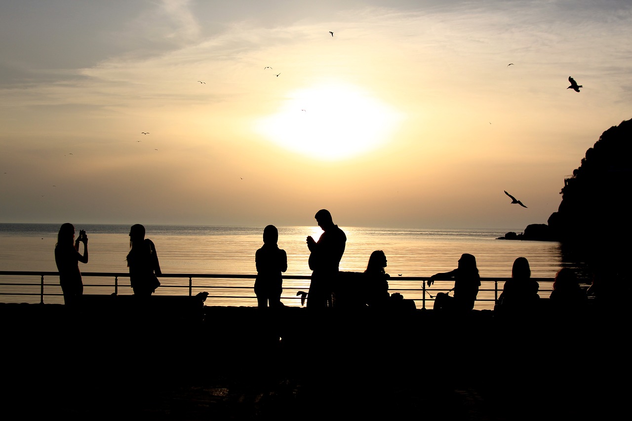 silhouette sunset sky free photo