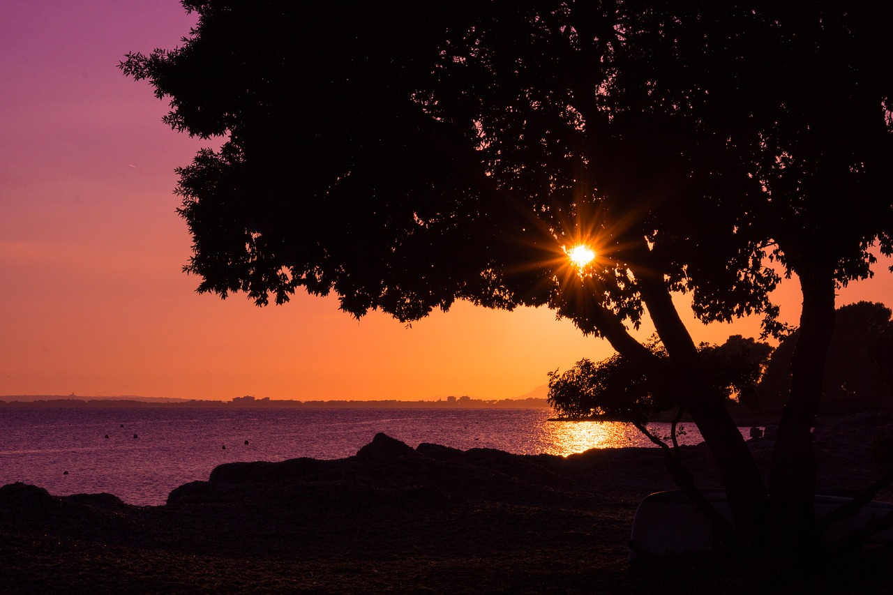 silhouette sunset sunbeam free photo