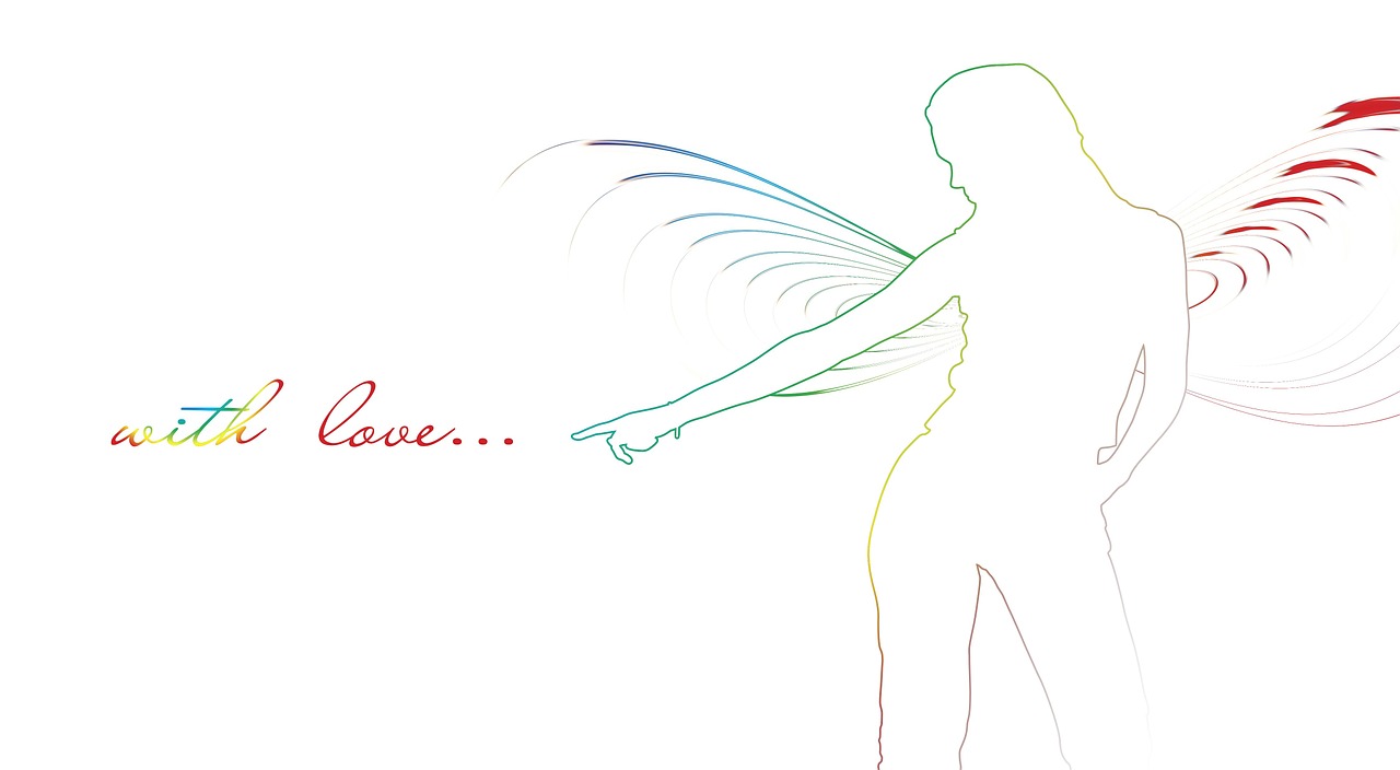 silhouette angel wing free photo