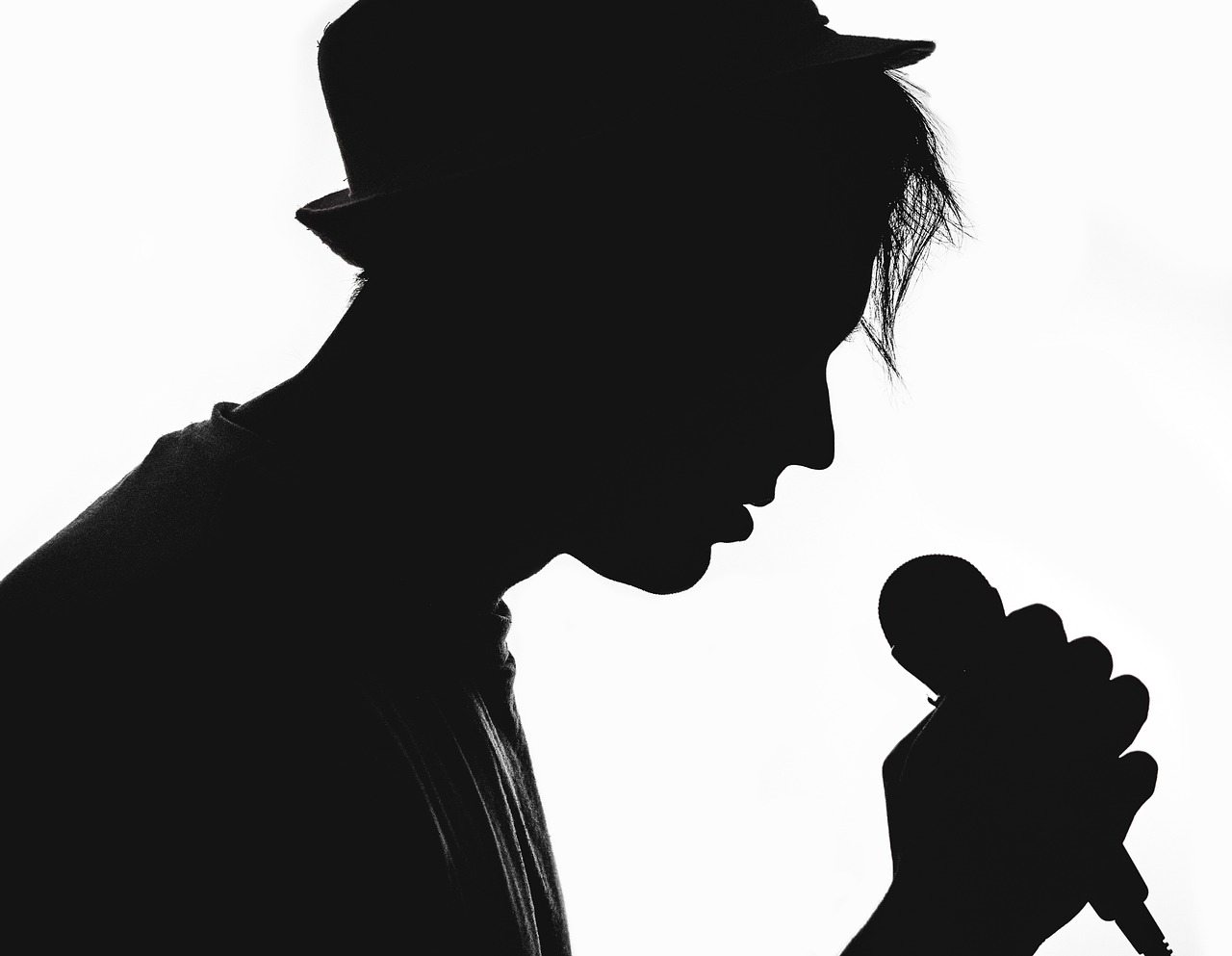 silhouette musician vocalist free photo