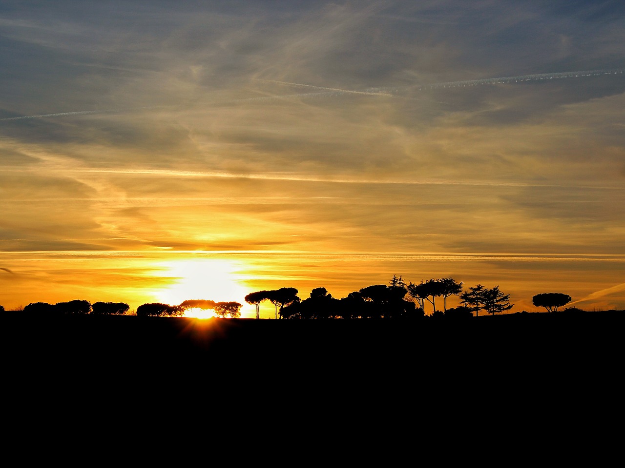 silhouette sunset yellow free photo