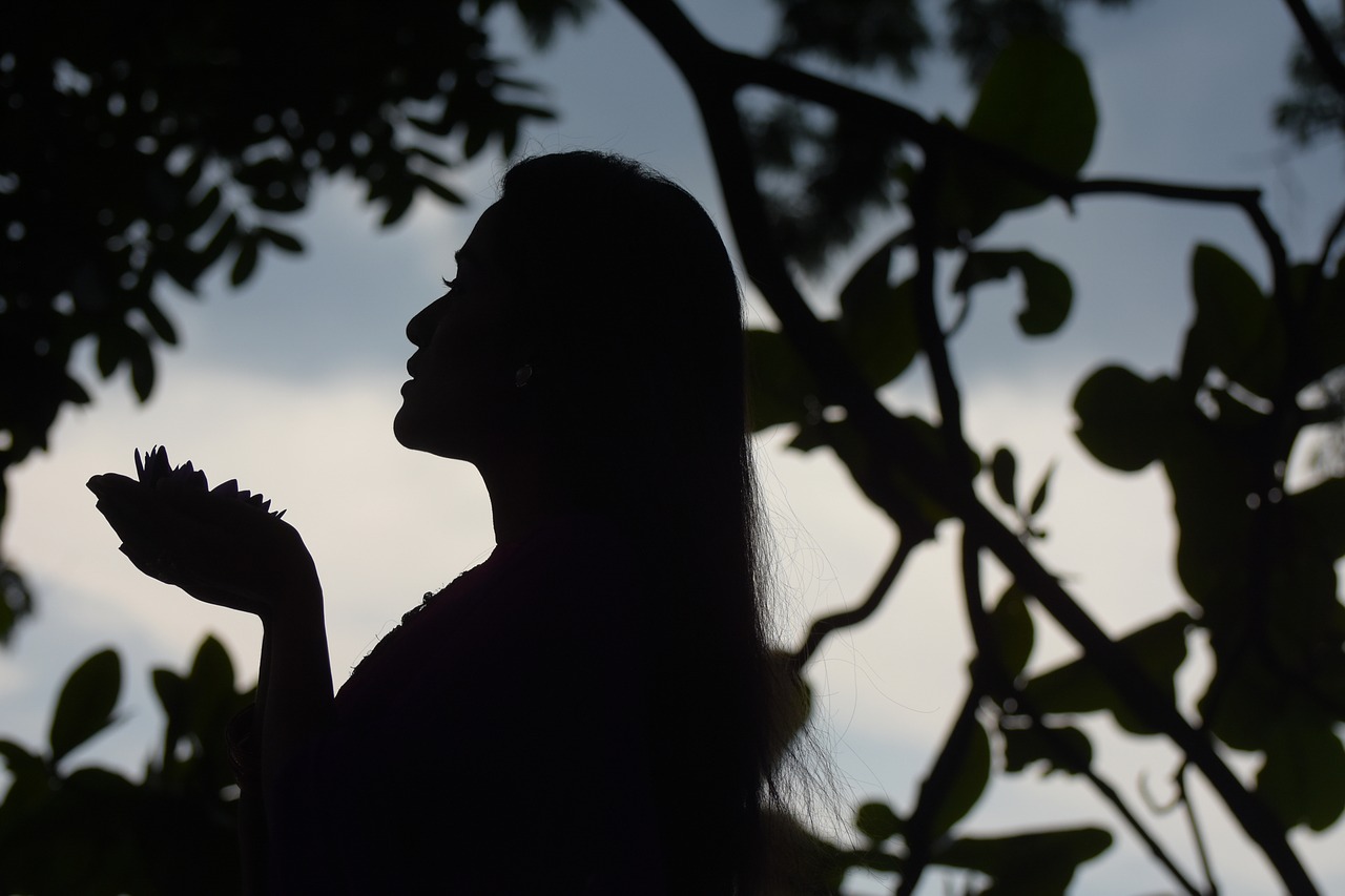 silhouette woman beauty free photo