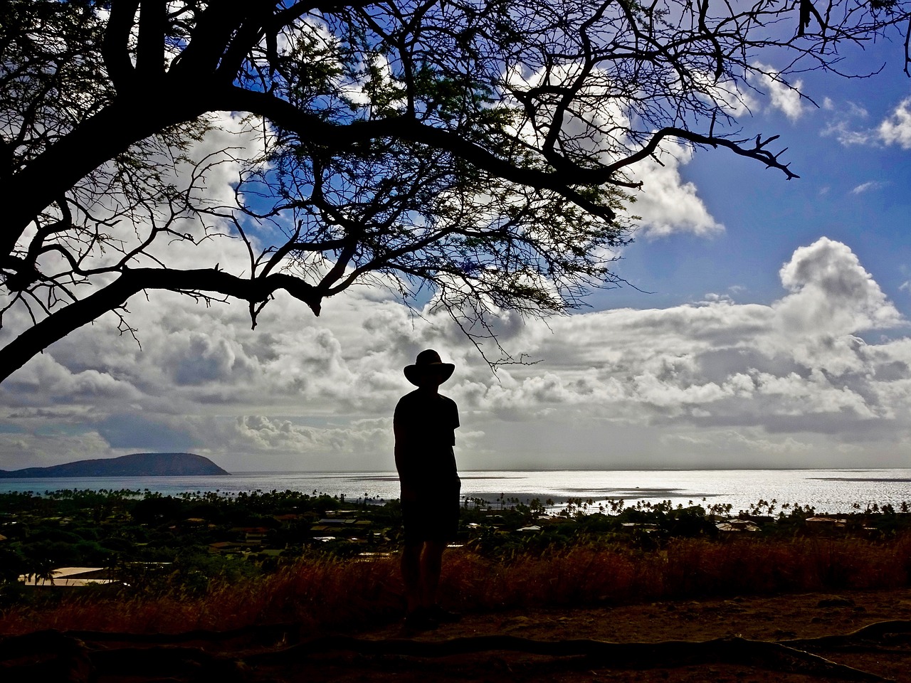 silhouette view sky free photo