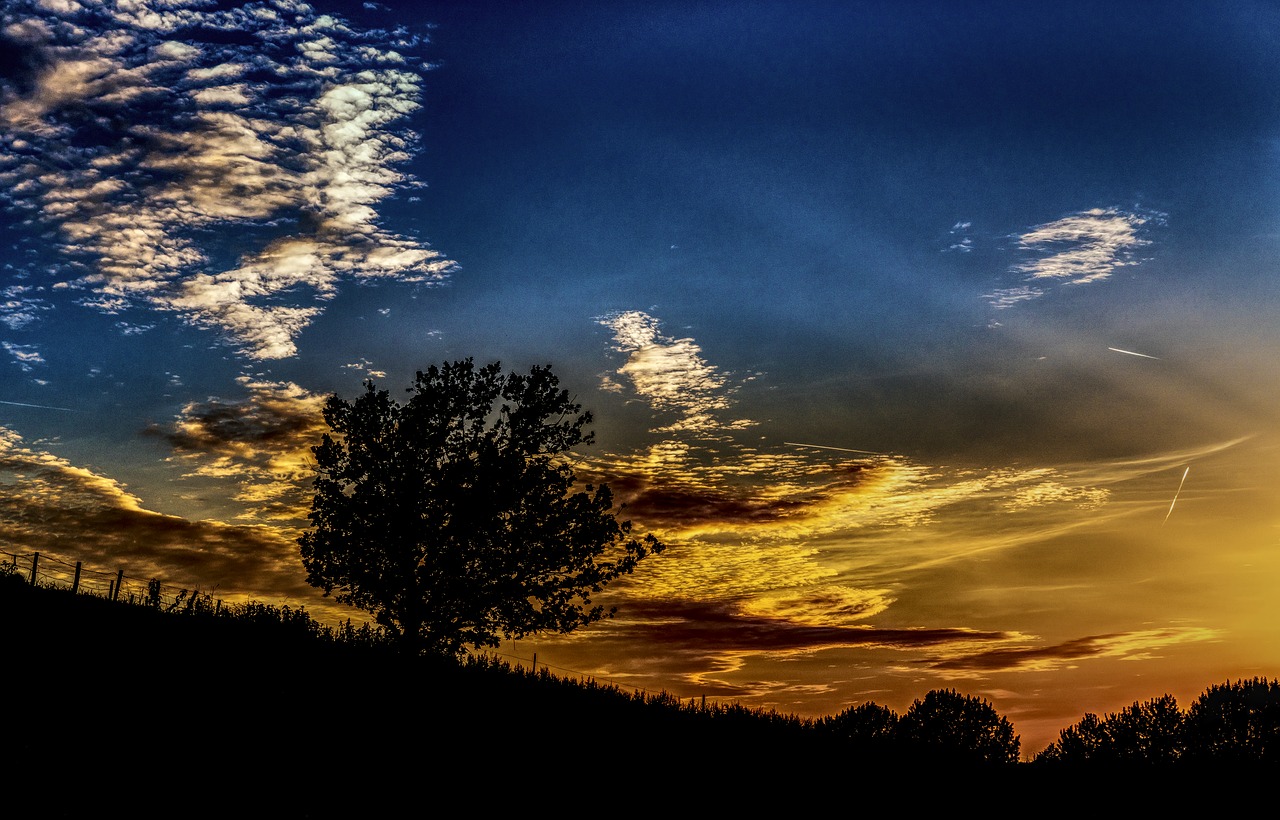 silhouette sunset sky free photo