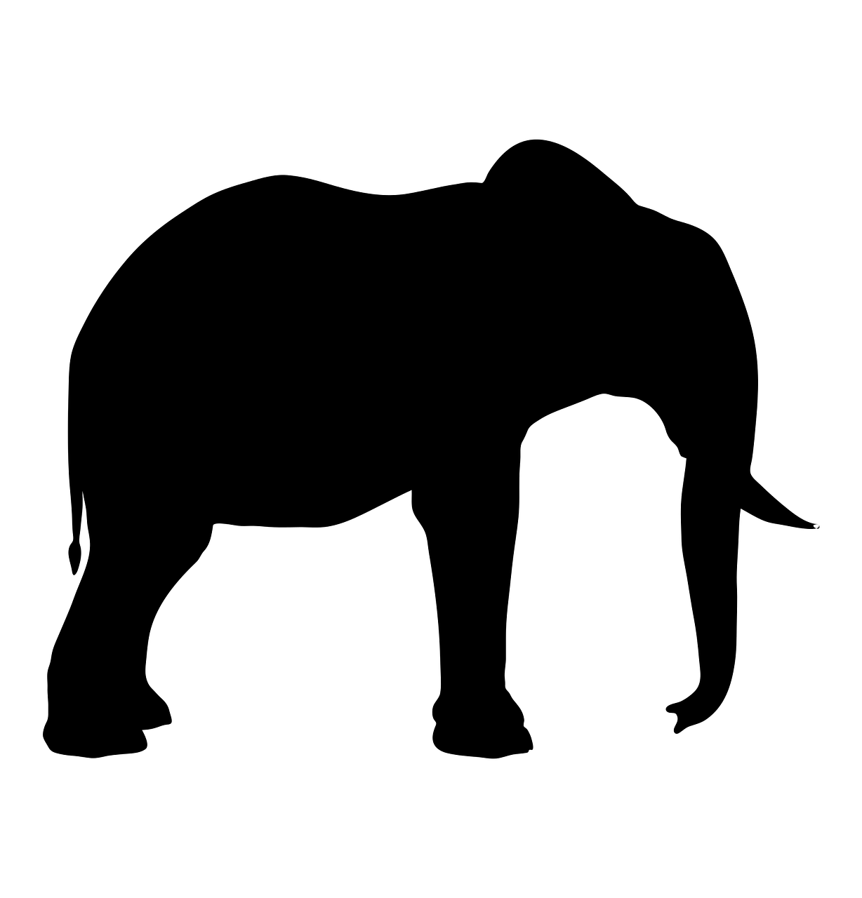 silhouette elephant animal free photo