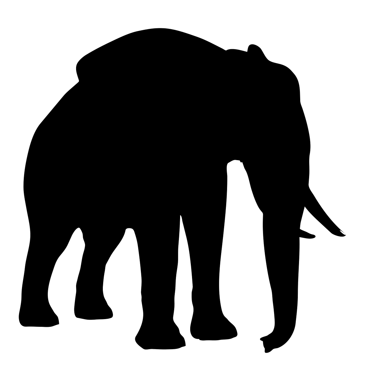 silhouette elephant animal free photo