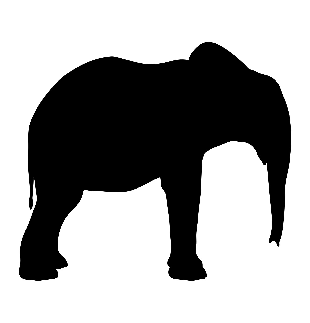 silhouette elephant animal free photo