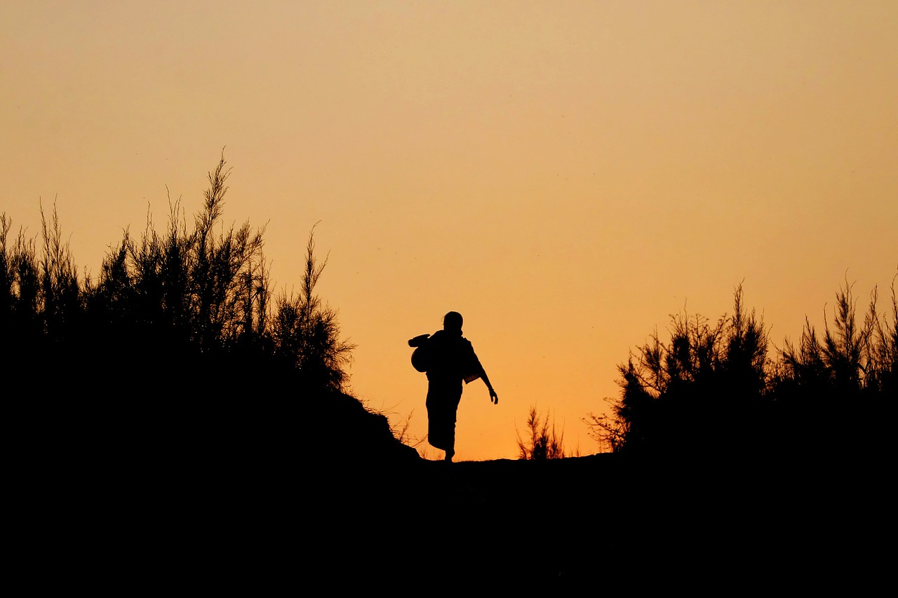 silhouette sunset landscape free photo