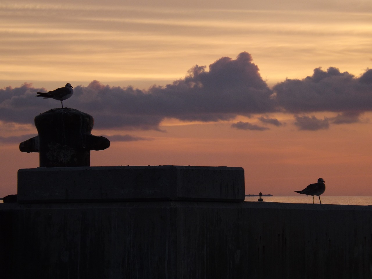 silhouette sunset backlit free photo