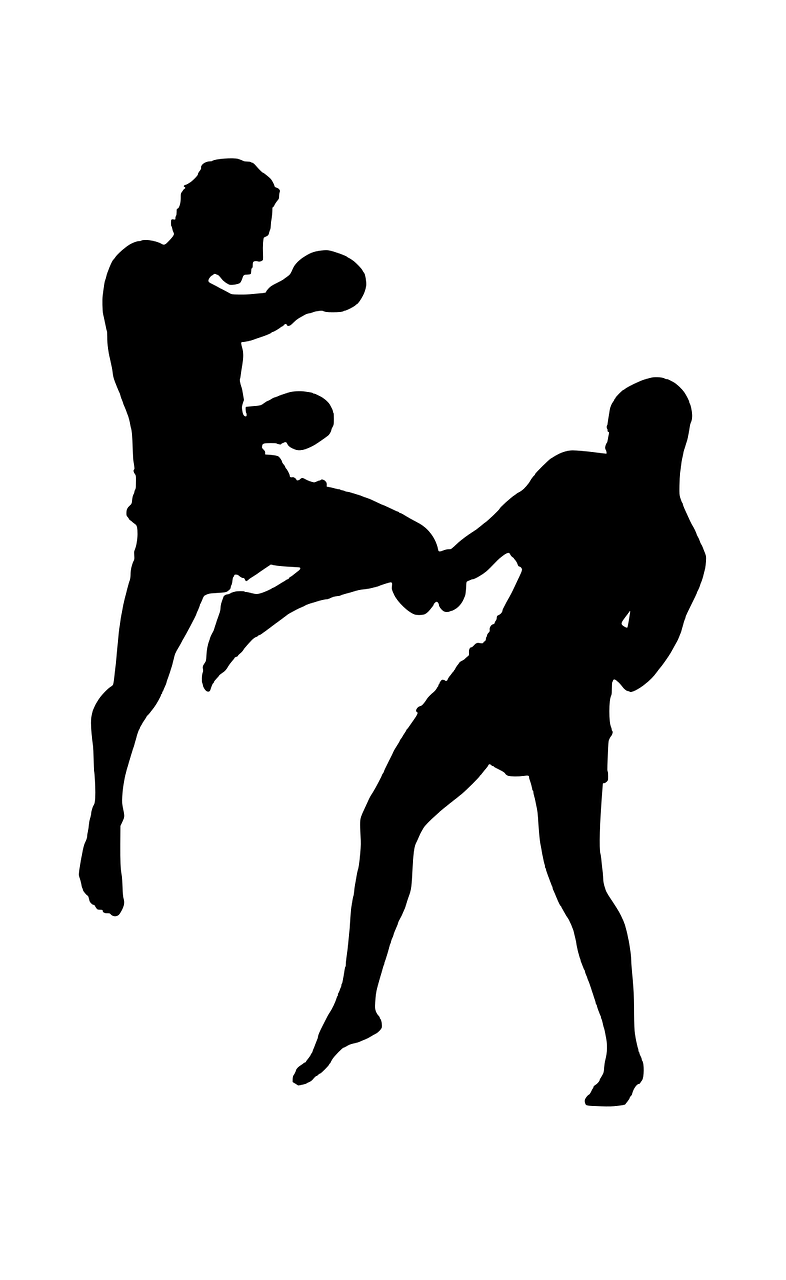 silhouette fight sports free photo