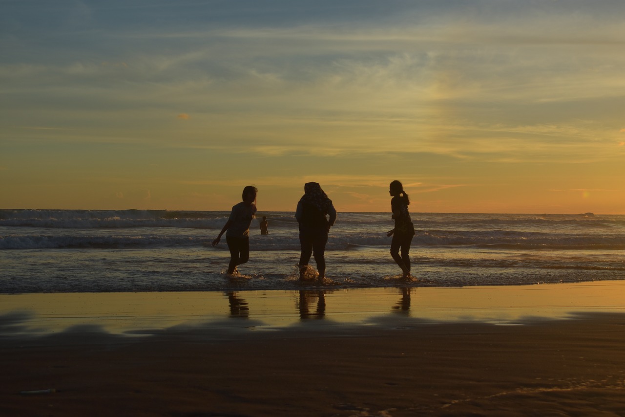 silhouette sunset friendship free photo