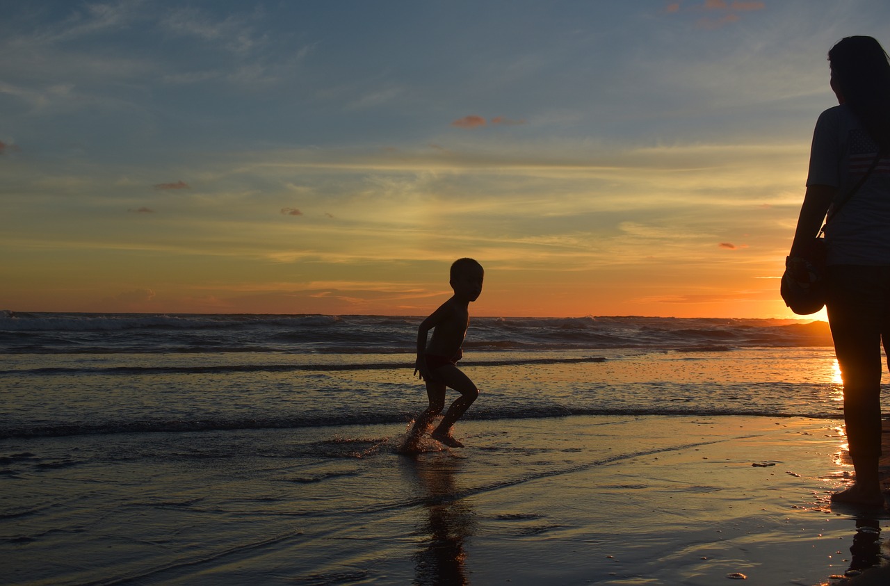 silhouette beach dusk free photo