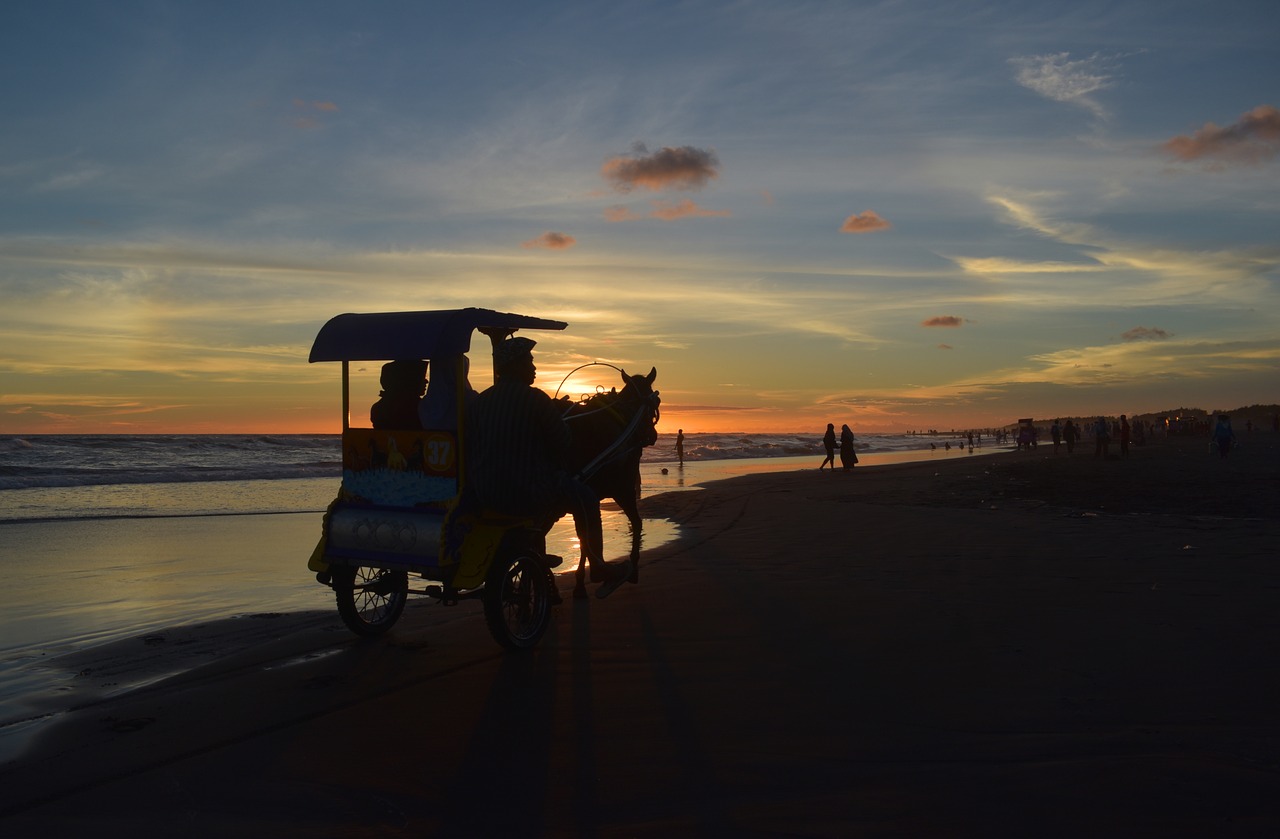 silhouette sunset dusk free photo