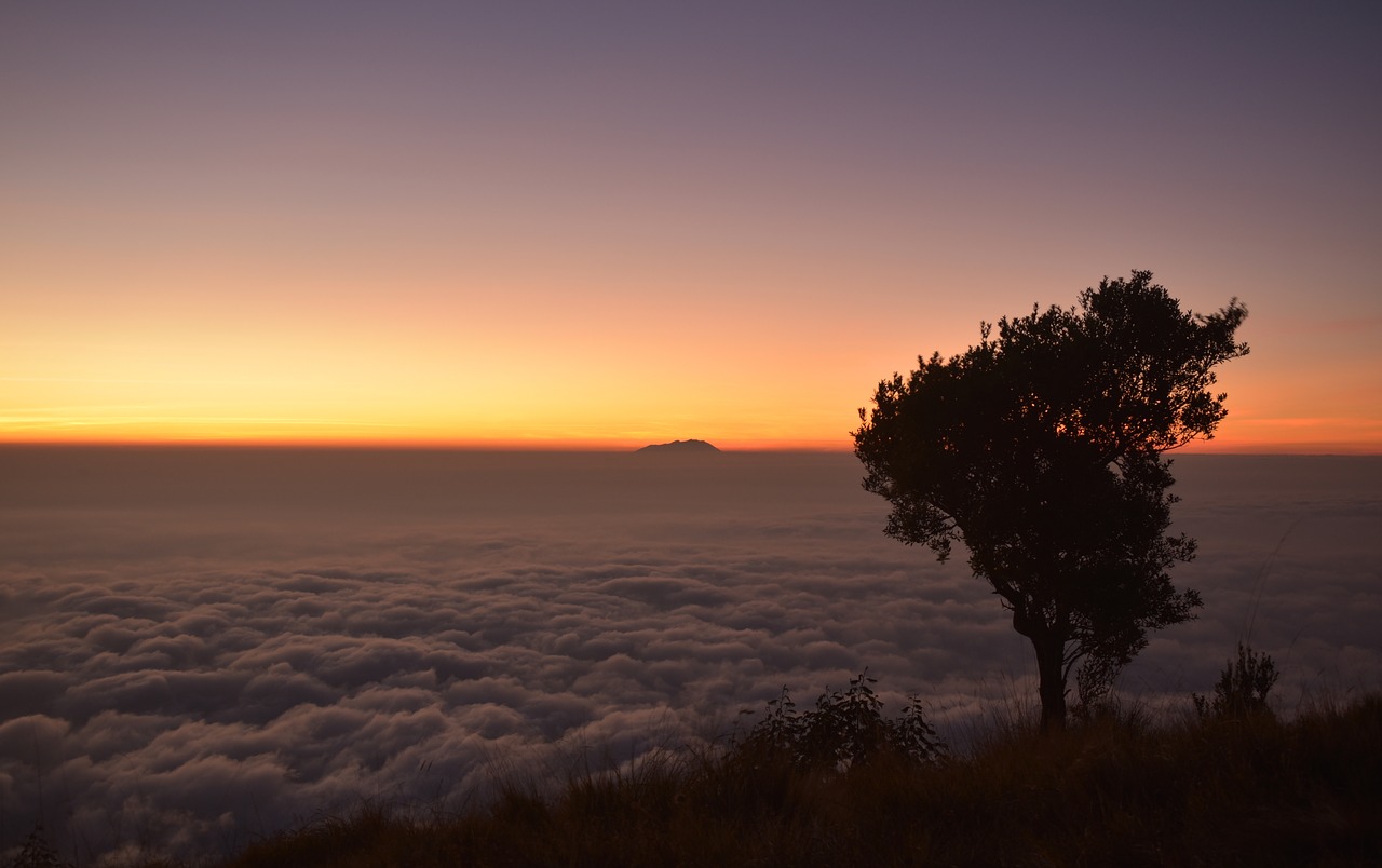 silhouette  sunrise  dawn free photo