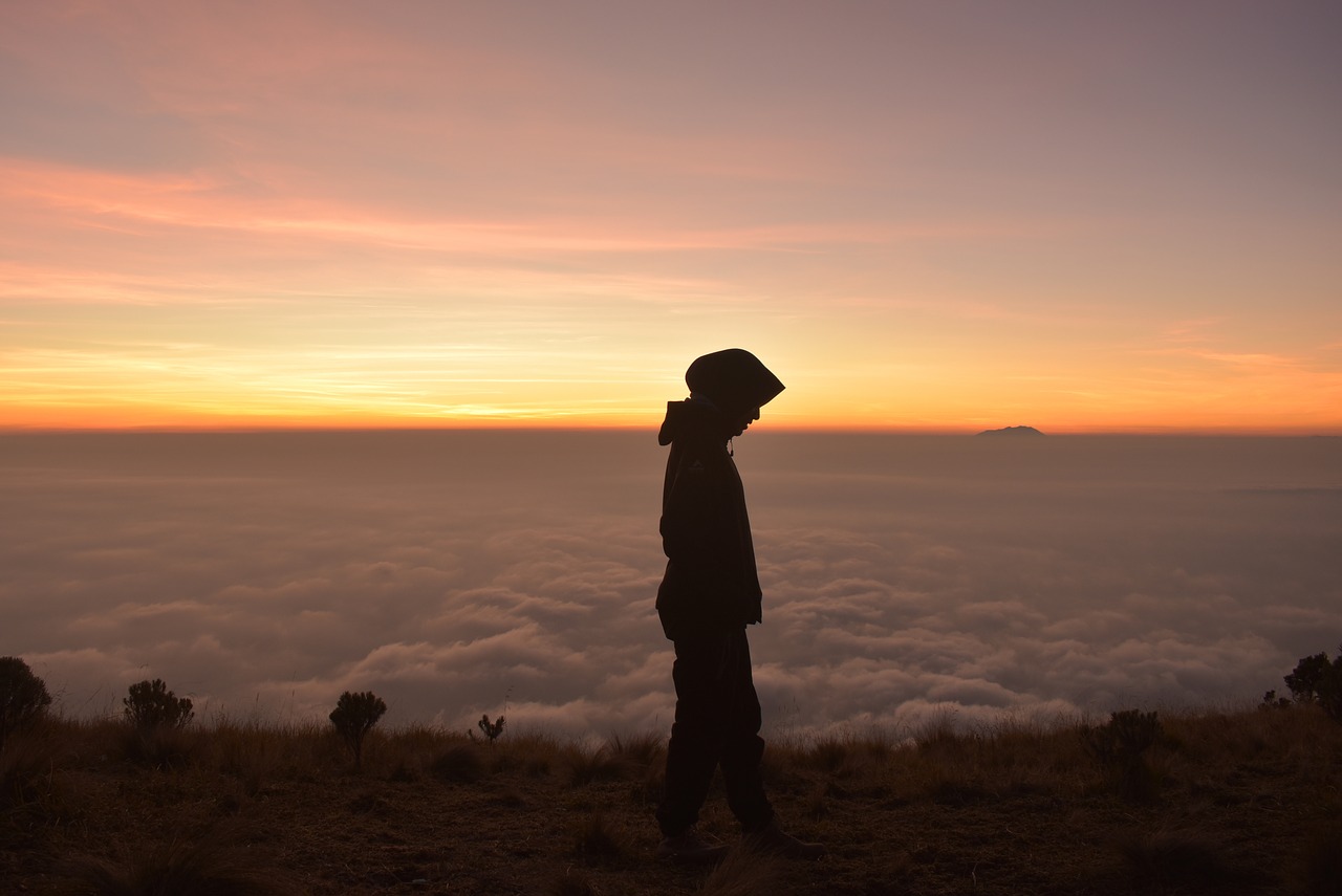 silhouette  sunrise  woman free photo