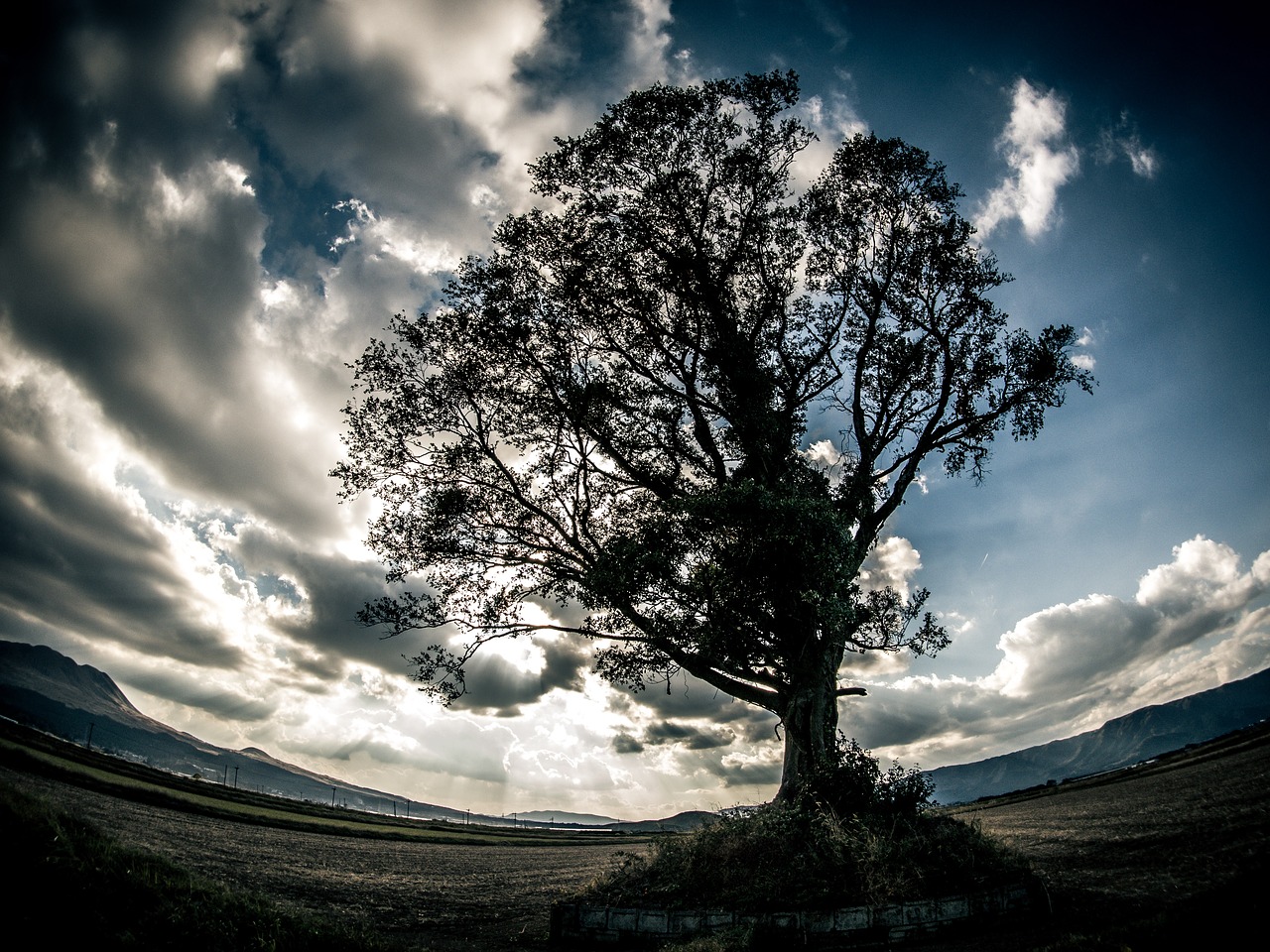 silhouette  japan  aso free photo