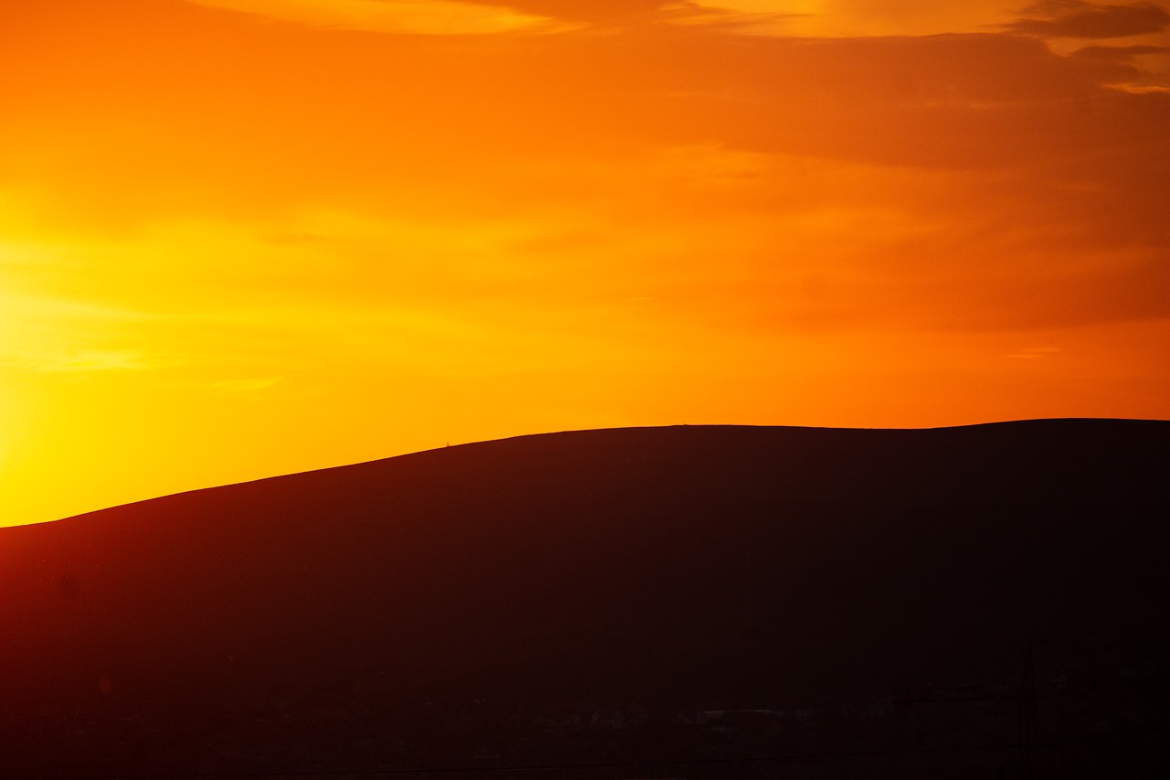 silhouette  sunlight  sunset free photo