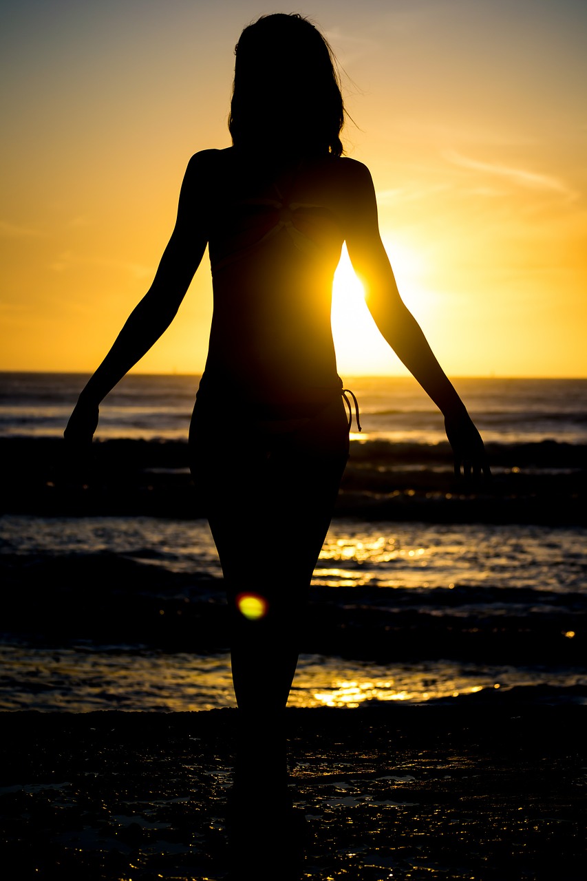 silhouette beach sun free photo