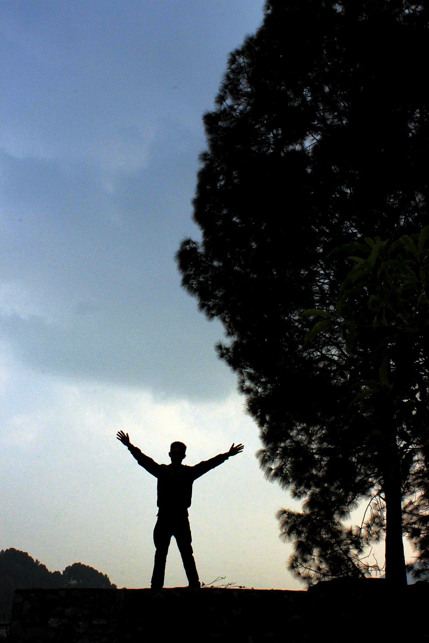 silhouette man happy free photo