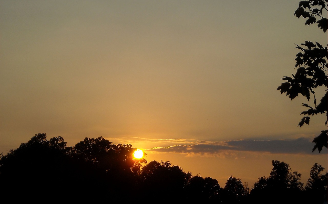 silhouette sunset sky free photo