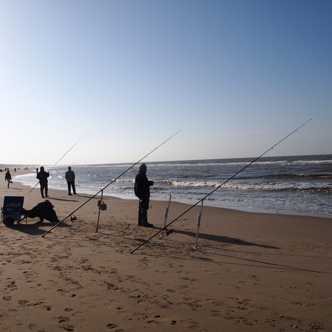 silhouette people fishing free photo