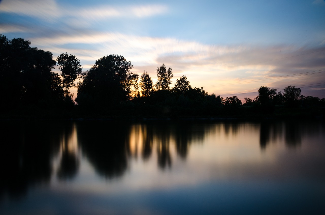 silhouette lake trees free photo